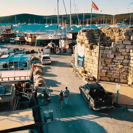 אתר קמפינג Mona Glamping Caravan