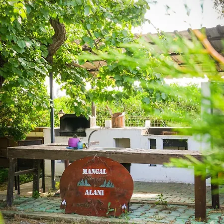 Mona Glamping Caravan אתר קמפינג *