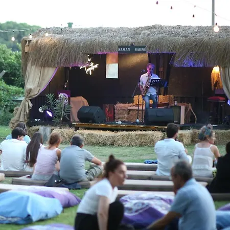 אתר קמפינג Mona Glamping Caravan